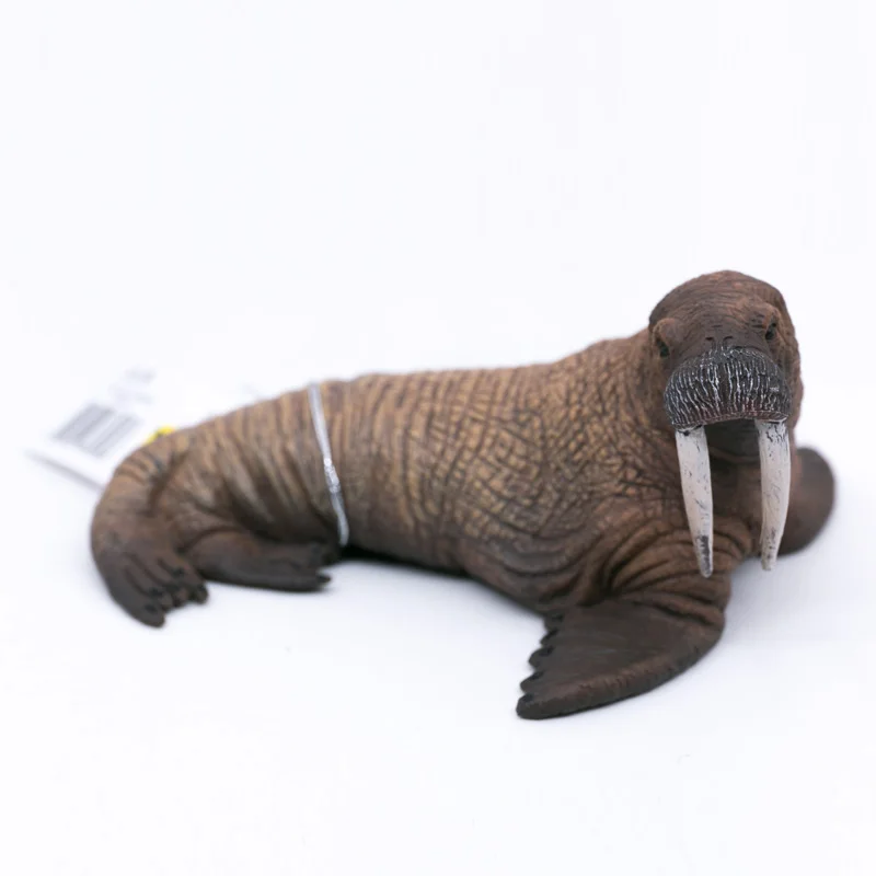 CollectA Vieții Sălbatice Animale Regiunile Polare Ocean Morsa din PVC din material Plastic Model de Jucărie pentru Copii #88569 0