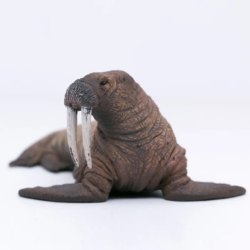 CollectA Vieții Sălbatice Animale Regiunile Polare Ocean Morsa din PVC din material Plastic Model de Jucărie pentru Copii #88569 1