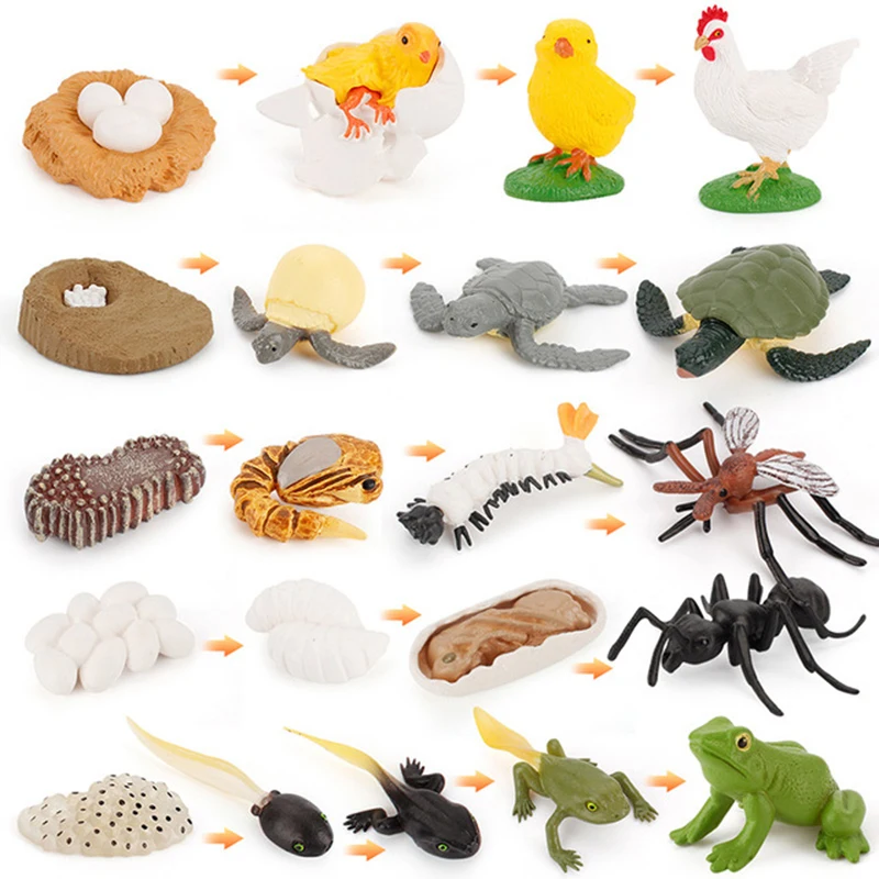 Simularea Ciclului de Viață, de Creștere a Insectelor Ciclu de Modelul stabilit Broasca Ant de Țânțari Țestoasă Model Figurine Copii de Predare jucărie pentru Copii