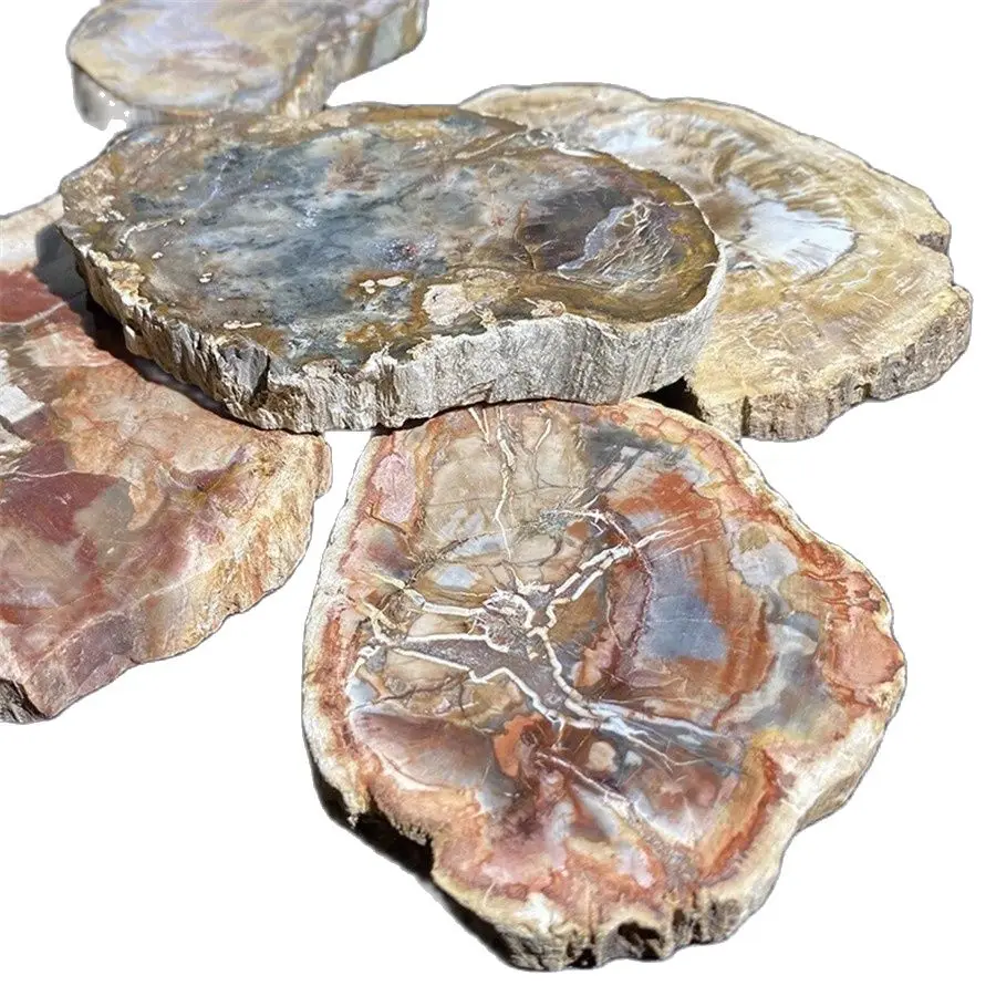 100-1000g Cristal Natural Woodstone Fosili Copac Pentru Coaster Decorațiuni interioare din Lemn Cupa Perna