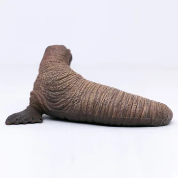 CollectA Vieții Sălbatice Animale Regiunile Polare Ocean Morsa din PVC din material Plastic Model de Jucărie pentru Copii #88569 3