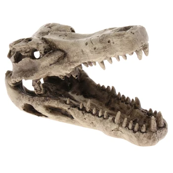 Dinozaur Craniu În Formă De Ornament Acvariu Rezervor De Pește Decor