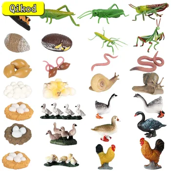 Simulare Model Animal de Animale de Fermă de Creștere a Insectelor Ciclu de Lebădă Cocoș Lăcustă Lăcustă Model de Creștere Colectia pentru Copii Jucarie Cadou